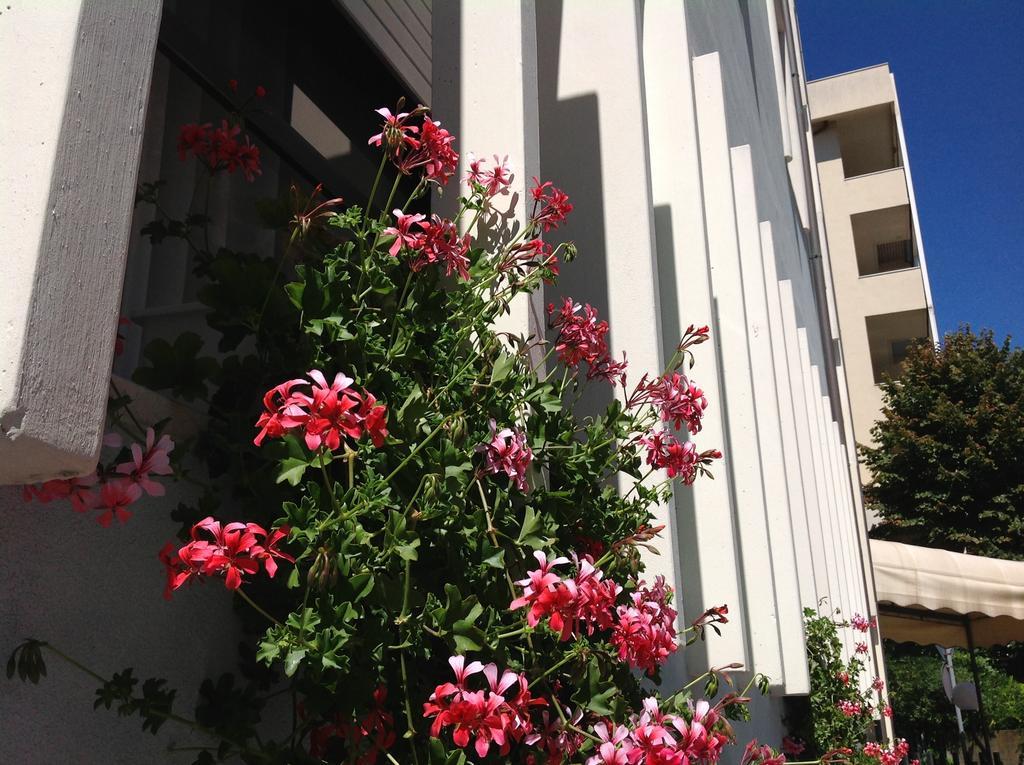 Hotel Arpa 3*